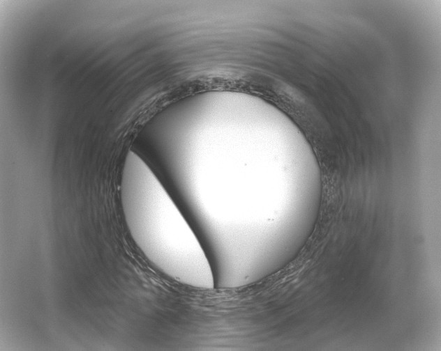 X0000066090774200603101002
