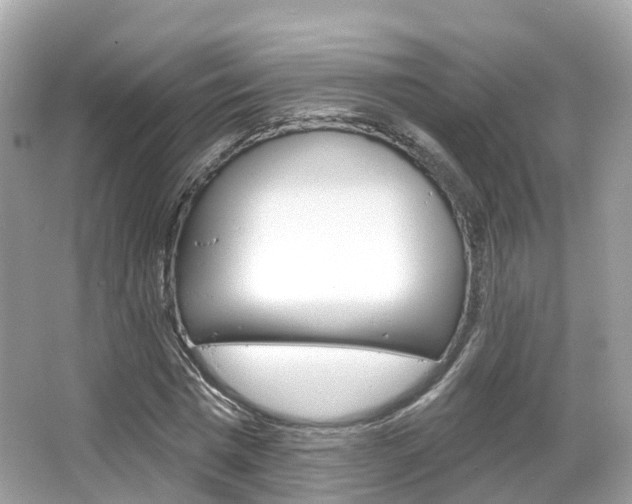 X0000066090777200603101002