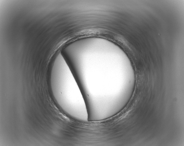 X0000066090778200603101002