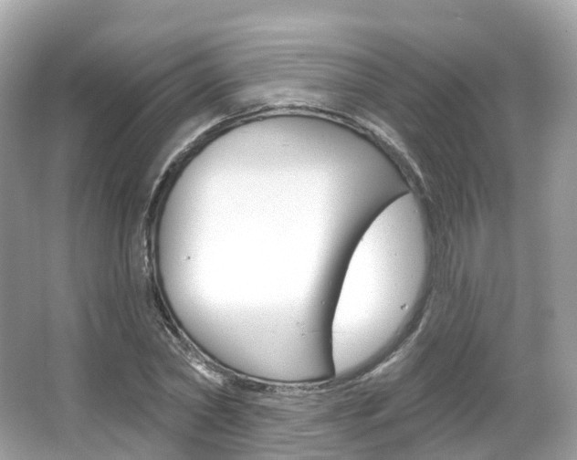 X0000066090782200603101002