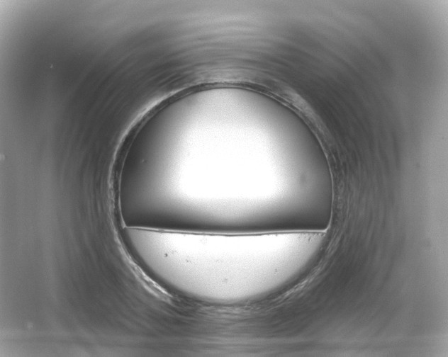 X0000066090787200603101002