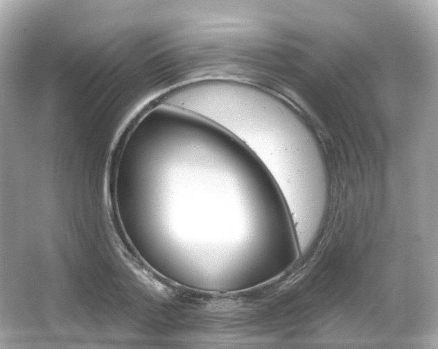 X0000066090788200603101002
