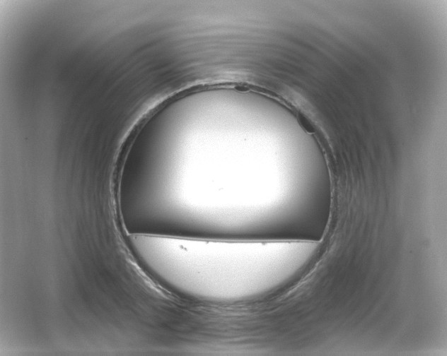 X0000066090789200603101002
