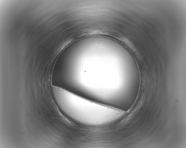 X0000066090793200603101002