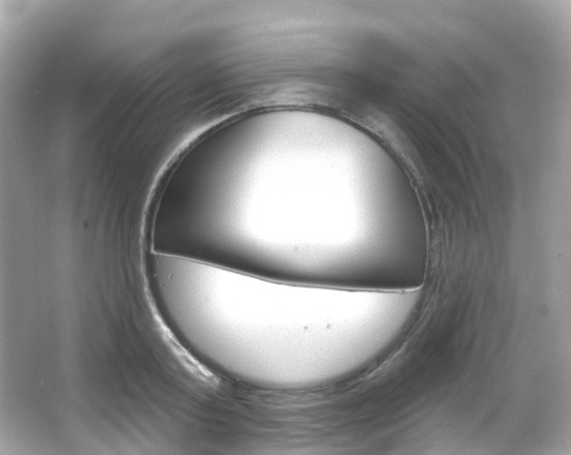 X0000066090795200603101002