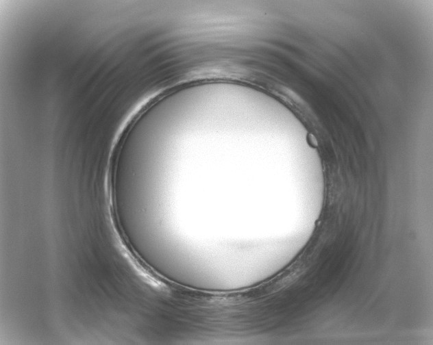 X0000066090796200603101002