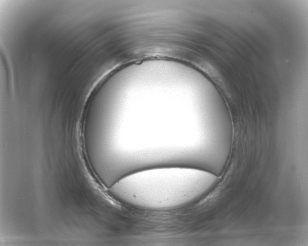 X0000066090798200603101002