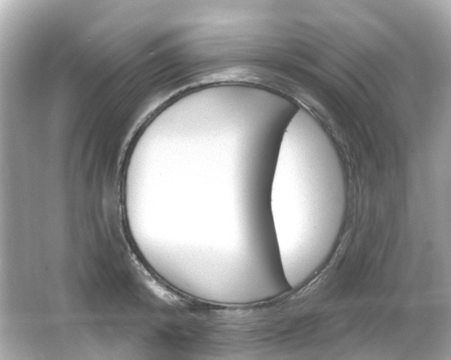 X0000066090800200603101002