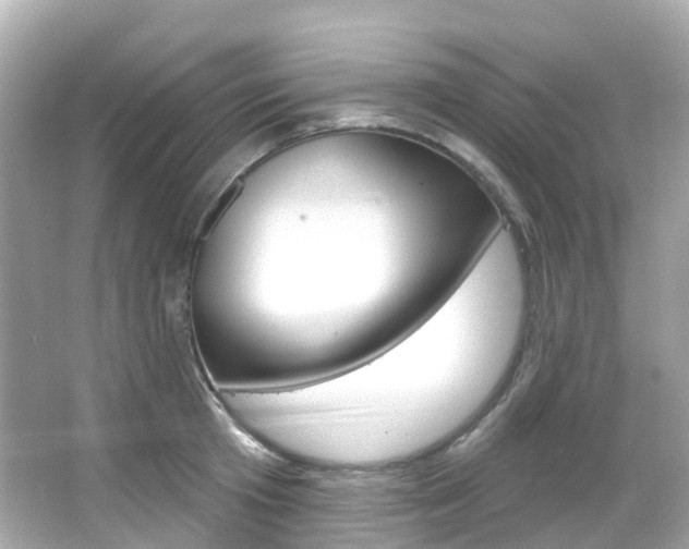X0000066090801200603101001