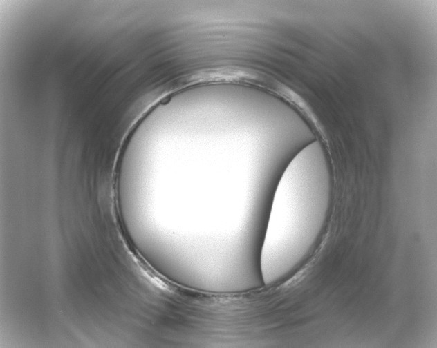 X0000066090802200603101001