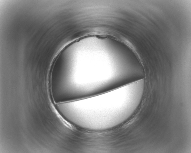 X0000066090803200603101001