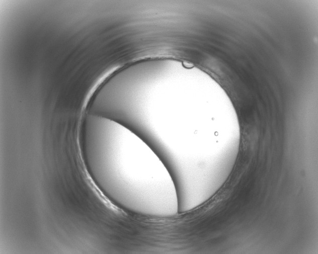X0000066090804200603101001