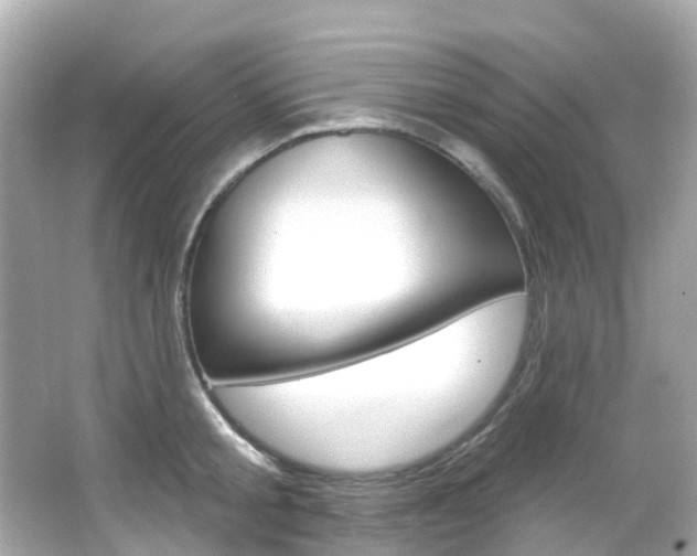 X0000066090805200603101001