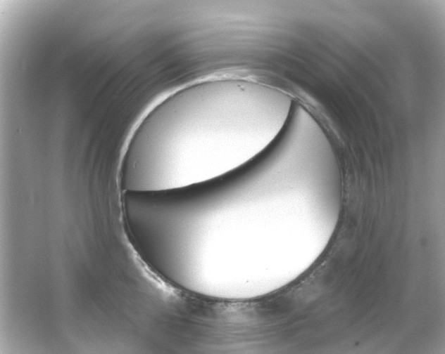 X0000066090808200603101001