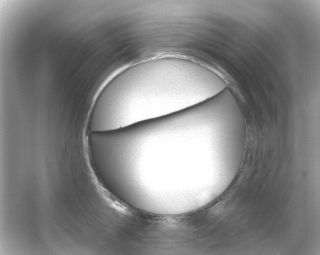 X0000066090814200603101001