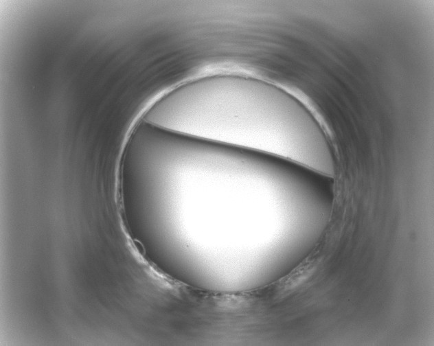 X0000066090815200603101001