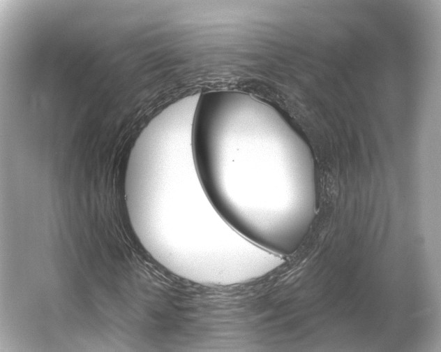 X0000066090818200603101000