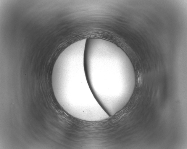 X0000066090819200603101000
