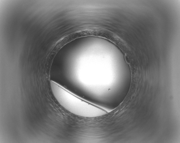 X0000066090822200603101001