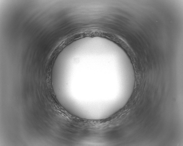 X0000066090823200603101001