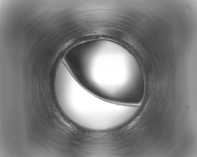 X0000066090826200603101001