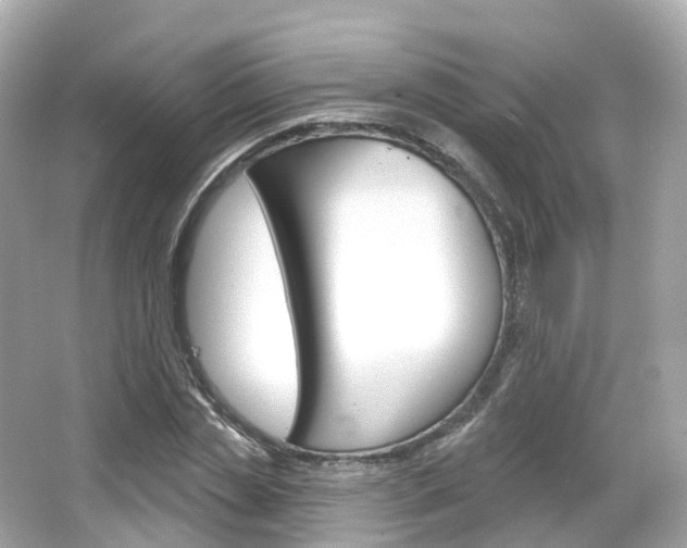 X0000066090829200603101001