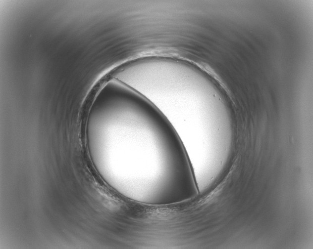 X0000066090830200603101001