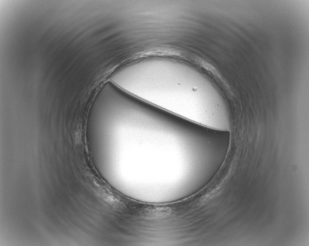 X0000066090833200603101001