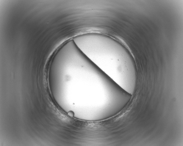 X0000066090835200603101001