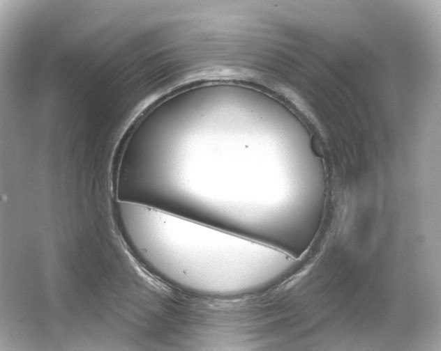 X0000066090837200603101001