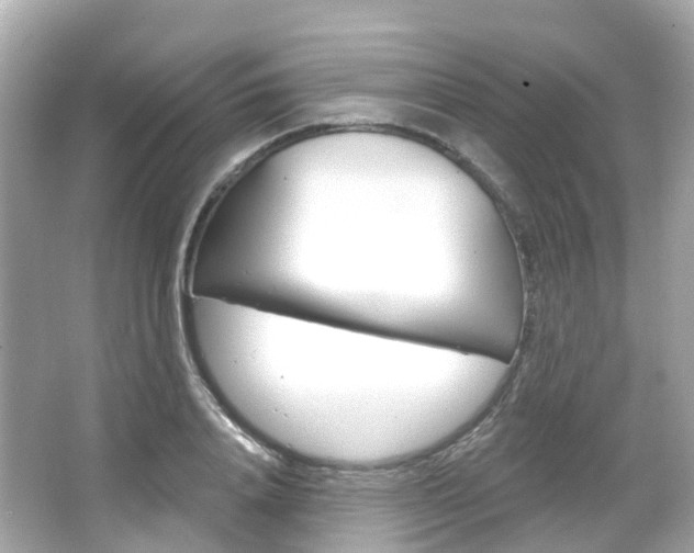 X0000066090840200603101001
