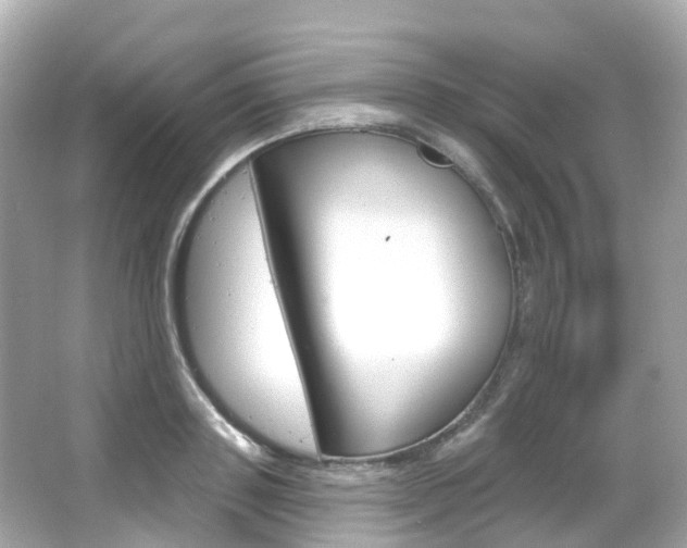 X0000066090843200603101001