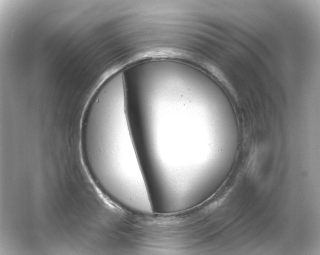 X0000066090845200603101001