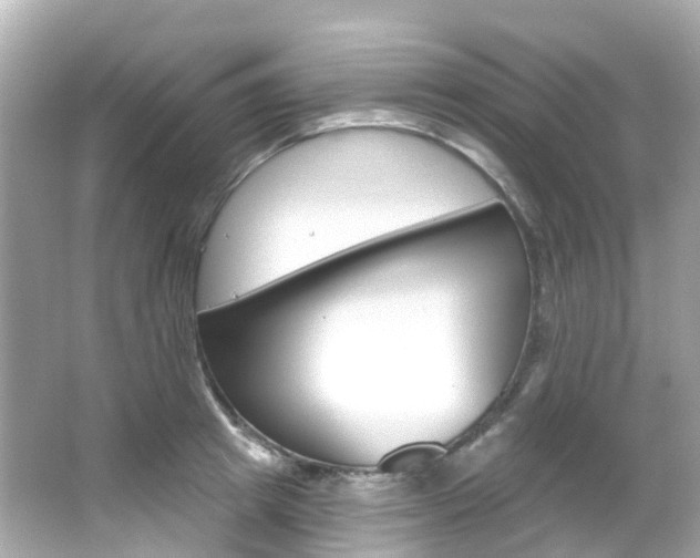 X0000066090849200603101001