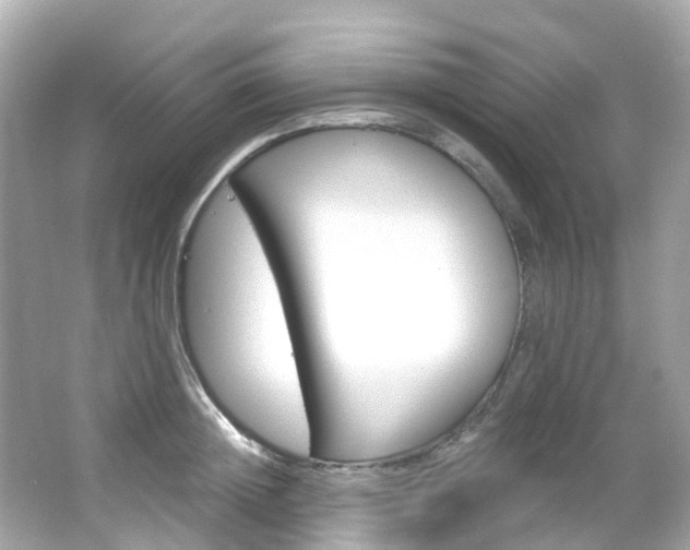 X0000066090852200603101001