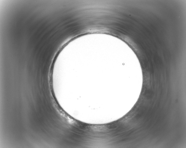 X0000066090856200603101001