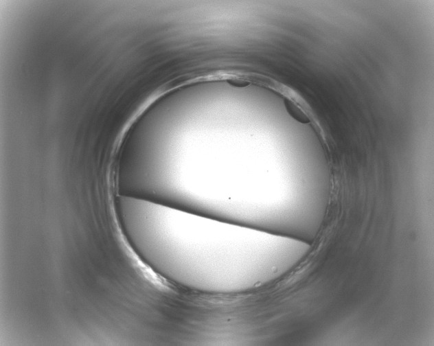 X0000066090859200603101001