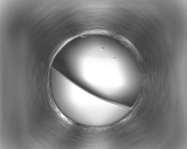X0000066090860200603101001