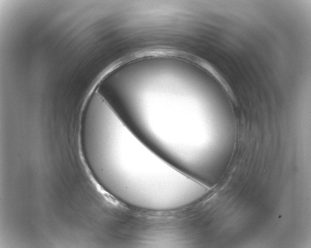 X0000066090861200603101001