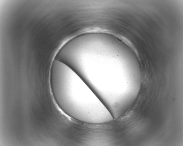 X0000066090863200603101001