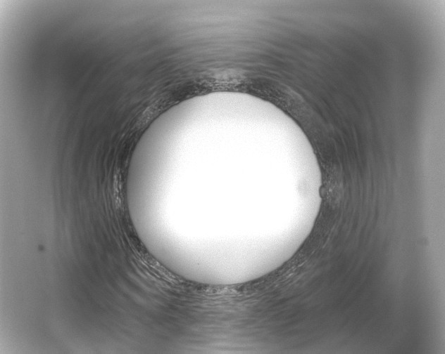 X0000066090866200603101000