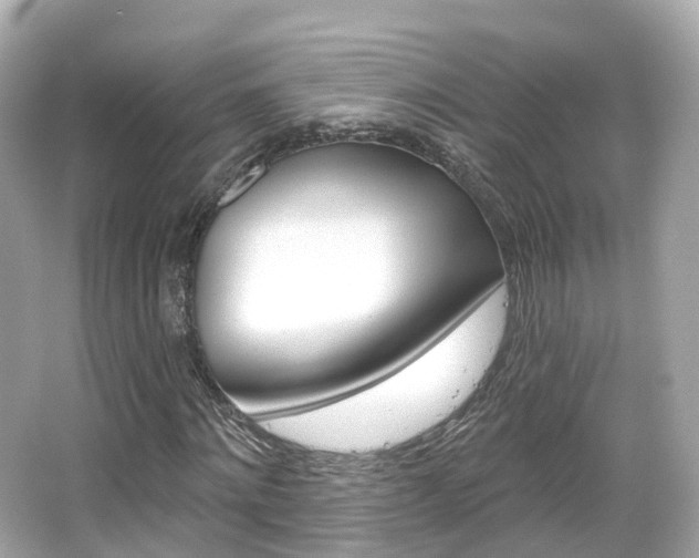 X0000066090868200603101000