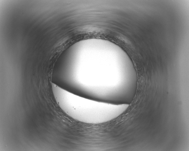 X0000066090869200603101000