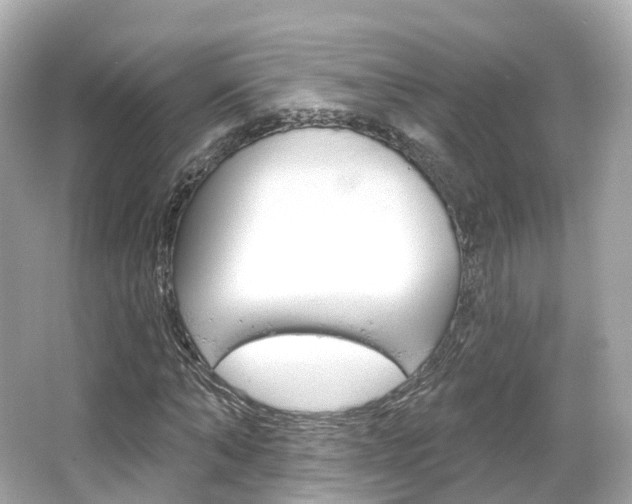 X0000066090870200603101000