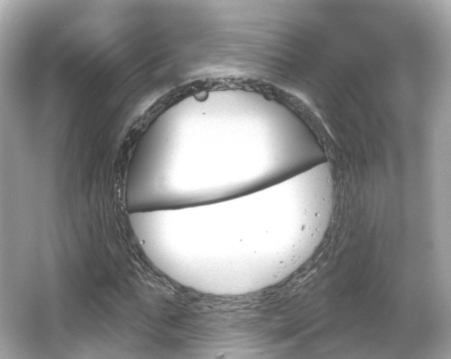 X0000066090871200603101000