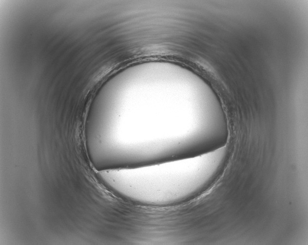 X0000066090873200603101000