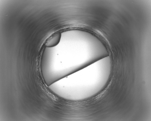 X0000066090875200603101000