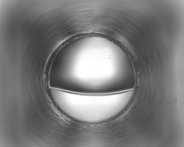 X0000066090876200603101000