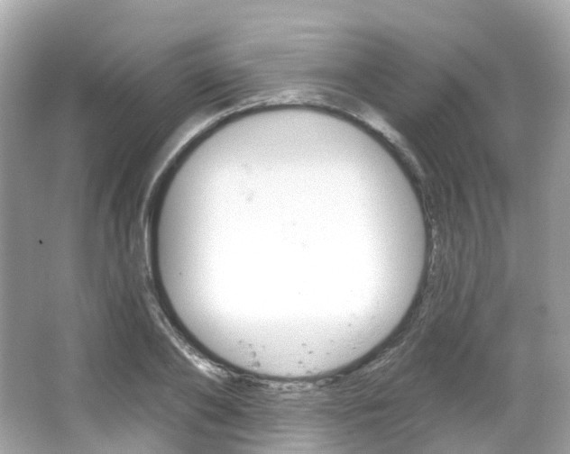 X0000066090886200603101000