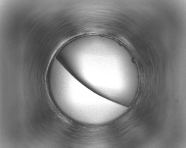 X0000066090891200603101000
